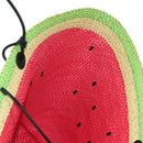 LOEWE Watermelon Tote Bag Raffia 2way Red Auth 178041SM-19