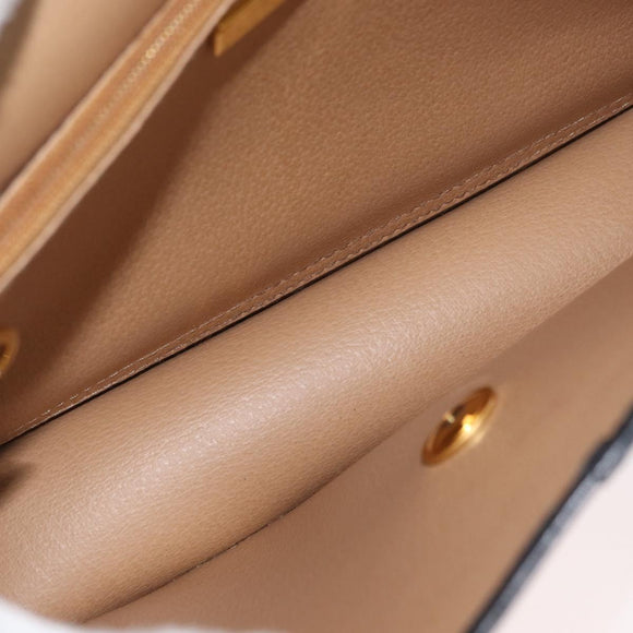 Christian Dior Trotter Canvas Shoulder Bag PVC Black Gold Auth 178171