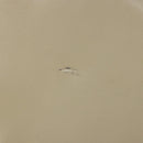 GUCCI Shoulder Bag Leather Beige Gold 26 001 0647 Auth 178561-9