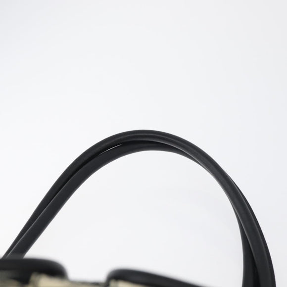 CHANEL Camelia Tote Bag Canvas Black Silver CC Auth 179051SAV