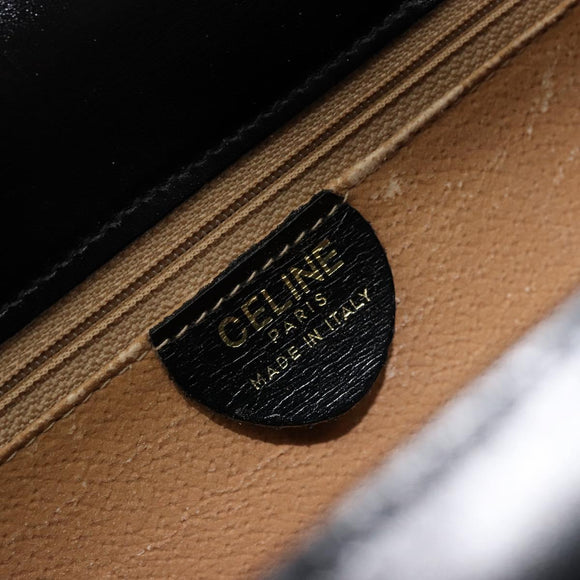 CELINE Horse Carriage Hand Bag Leather Black Gold Auth 179139