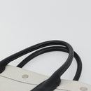 SAINT LAURENT Hand Bag Canvas Beige Silver Auth 179238A-8