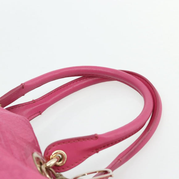 Christian Dior Lady Dior Hand Bag Canvas Pink Gold Auth 179251A