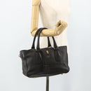 CELINE New Boogie Bag Hand Bag Leather Brown Gold Auth 179282A-24
