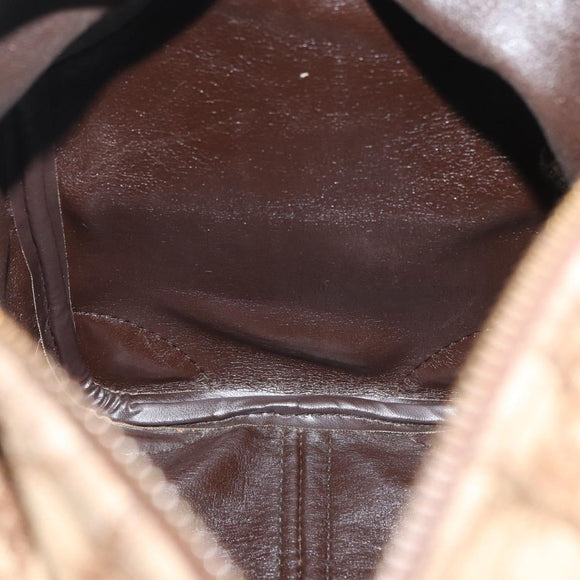Christian Dior Trotter Canvas Hand Bag Brown Gold Auth 179421