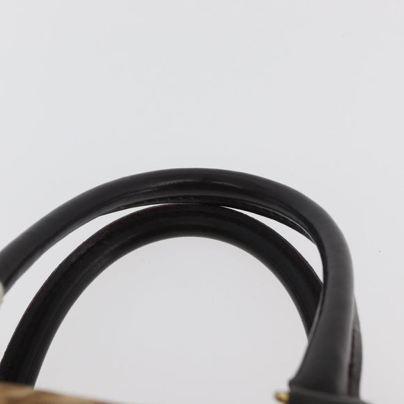 Christian Dior Trotter Canvas Hand Bag Brown Gold Auth 179421