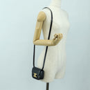 CELINE Triomphe Schultertasche Leder Schwarz Gold Original 179440SAM-24