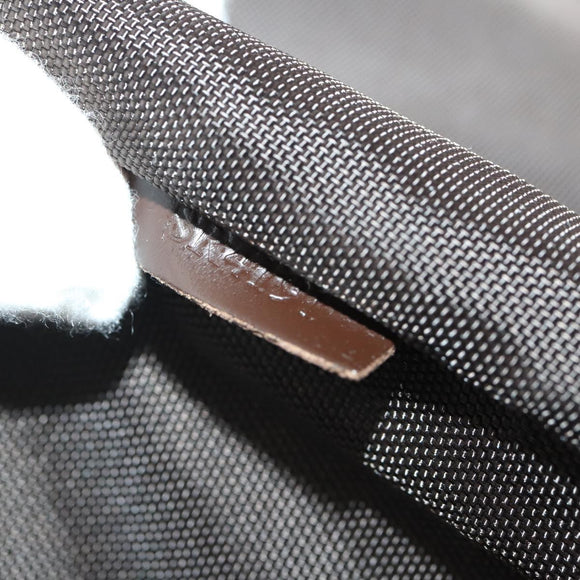 LOUIS VUITTON Damier Ebene Pegas 55 Suitcase N23294 LV Auth 179790V