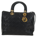 Christian Dior Canage Hand Bag Lamb Skin Black Gold Auth 180510SAM-13