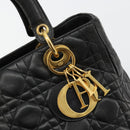 Christian Dior Canage Hand Bag Lamb Skin Black Gold Auth 180616A-17