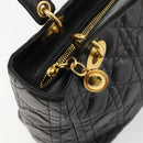 Christian Dior Canage Hand Bag Lamb Skin Black Gold Auth 180616A-10