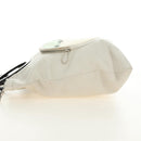 CELINE Chain Shoulder Bag Leather 2way White Silver Auth 181478V-4
