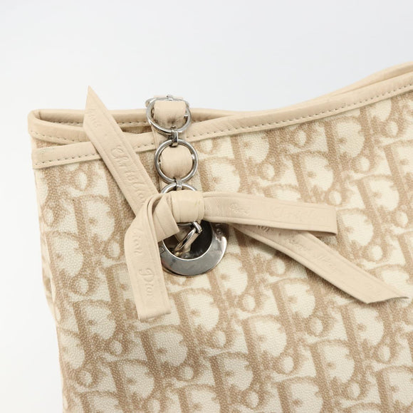 Christian Dior Trotter Canvas Chain Romantic Bag PVC Pink Silver Auth 181736