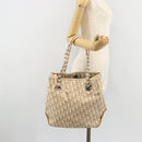 Christian Dior Trotter Canvas Chain Romantic Bag PVC Pink Silver Auth 181736-23