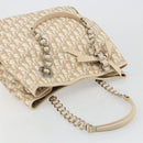 Christian Dior Trotter Canvas Chain Romantic Bag PVC Pink Silver Auth 181736-6