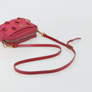 PRADA Shoulder Bag Nylon Pink Gold Auth 181758-7