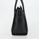 CELINE Luggage Micro Shopper Hand Bag Leather Black Silver Auth 181819SAM-3
