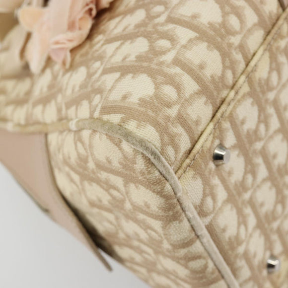 Christian Dior Trotter Canvas Romantic Hand Bag PVC Beige Silver Auth 182103