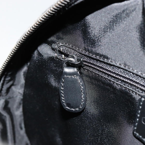 Christian Dior Trotter Canvas Double Saddle Hand Bag Black Silver Auth 182186