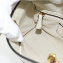 Christian Dior Lady Dior Niki de Saint Phalle Bag Leather 2way Auth 182304SAM-21