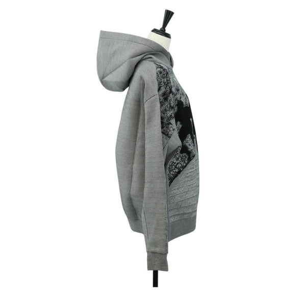 LOUIS VUITTON Wizard of Oz Kapuzenpullover Baumwolle S Grau LV Auth 182322SM
