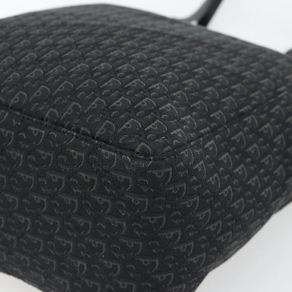 Christian Dior Trotter Canvas Shoulder Bag Black Silver Auth 182504A