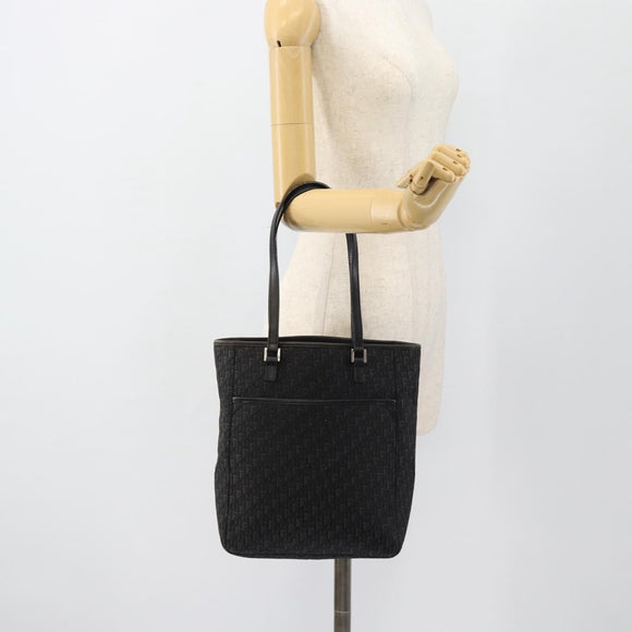 Christian Dior Trotter Canvas Shoulder Bag Black Silver Auth 182504A