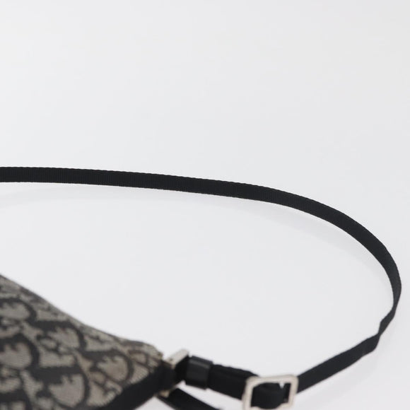 Christian Dior Trotter Canvas Accessoire-Tasche Grau Silber Auth 182611SAV