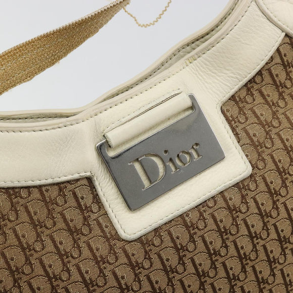 Christian Dior Trotter Canvas Shoulder Bag Beige Silver Auth 182667