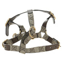 GUCCI GG Supreme Pet Harness Coat Set PVC Beige Gold 692963 Auth 182693V-28