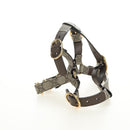 GUCCI GG Supreme Pet Harness Coat Set PVC Beige Gold 692963 Auth 182693V-31