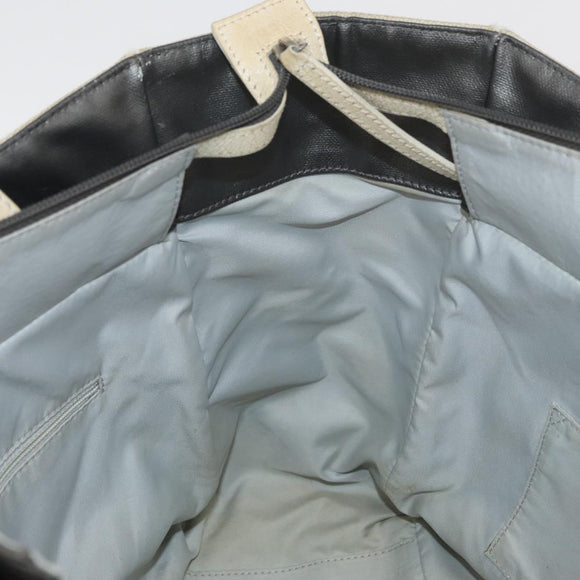 CHANEL Paris Biarritz MM Tote Bag Coated Canvas Silver CC Auth 182784