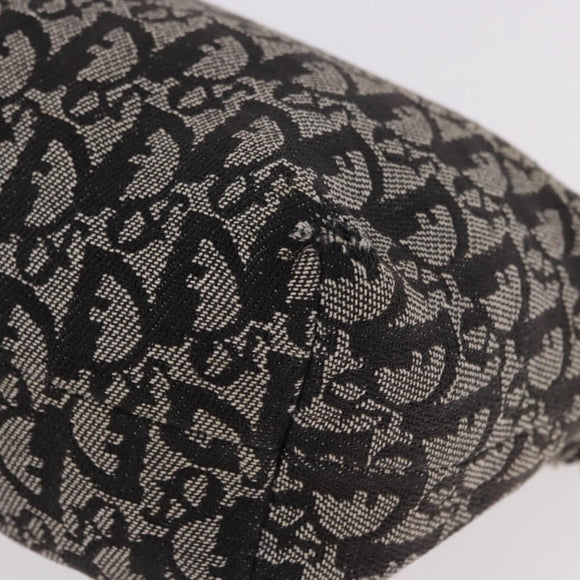 Christian Dior Trotter Canvas Handtasche Schwarz Silber Auth 183978