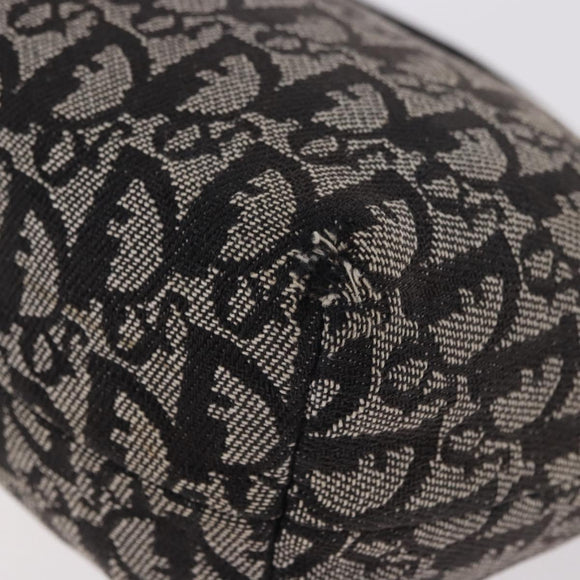 Christian Dior Trotter Canvas Handtasche Schwarz Silber Auth 183978