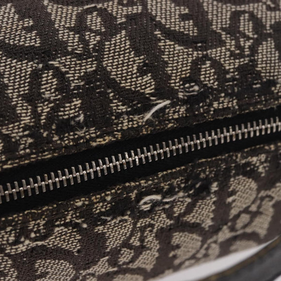 Christian Dior Trotter Canvas Handtasche Schwarz Silber Auth 183978
