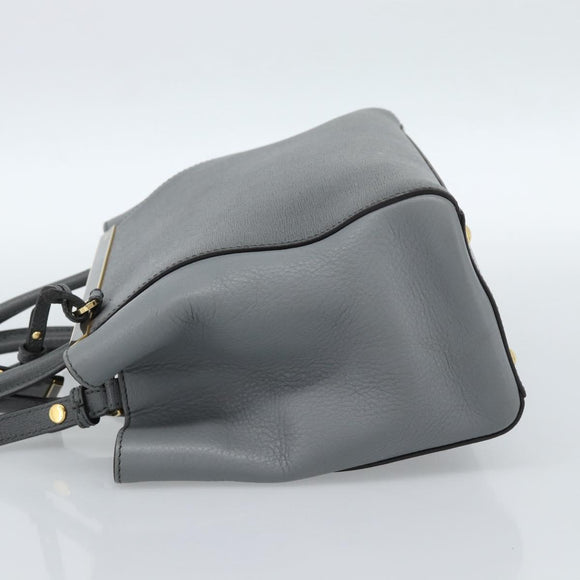 FENDI To joule Hand Bag Leather 2way Gray Gold Auth 183996
