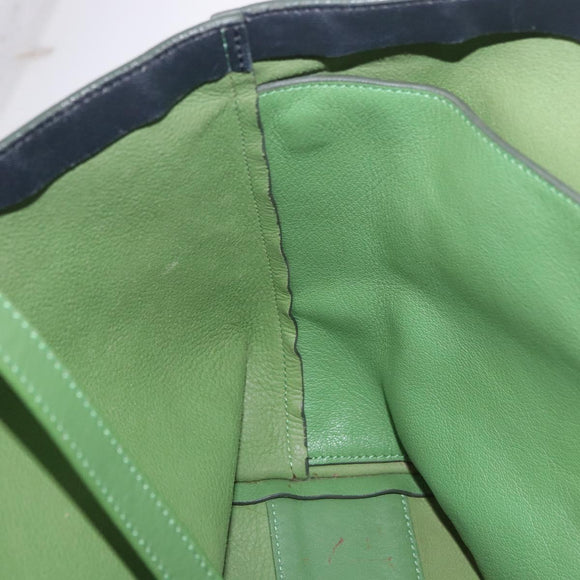 Chloe Tote Bag Leather Green Gold Auth 183998