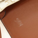 CELINE Triomphe Shoulder Pouch Shoulder Bag PVC White Auth 184044V-16