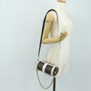 LOUIS VUITTON Monogram Papillon Trunk Shoulder Bag White M81485 LV Auth 184393SM-31
