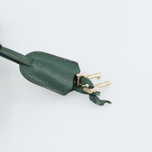 GUCCI Hand Bag Leather Green Gold Auth 184457