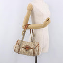 Christian Dior Trotter Canvas Romantic Chain Hand Bag Ivory Silver Auth 184735A-25