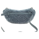 Miu Miu Chain Shoulder Bag fur Blue Silver Auth 184817M-2