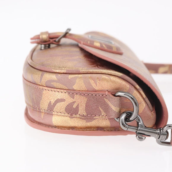 Christian Dior BOBBY EAST-WEST Shoulder Bag Leather Bronze Silver Auth 184842SM