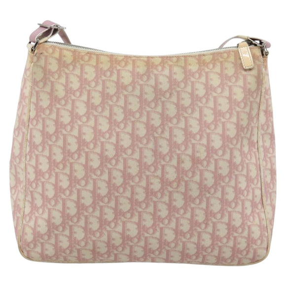 Christian Dior Trotter Canvas Shoulder Bag PVC Pink Silver Auth 184929