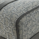 Christian Dior Trotter Canvas Boston Bag 2way Gray Silver Auth 184998SM-16