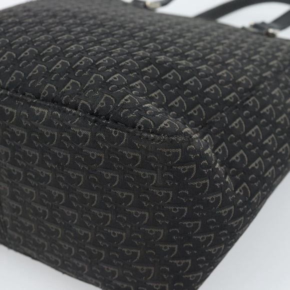 Christian Dior Trotter Canvas Tote Bag Black Silver Auth 185124