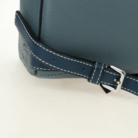 LOEWE Dumbo Goya Disney Collaboration Backpack Leather Silver Blue Auth 185303SAM