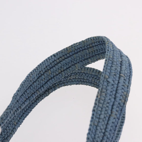 LOEWE Elephant Motif Hand Bag Raffia Light Blue Auth 185419SAM