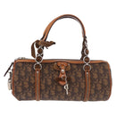 Christian Dior Trotter Canvas Romantic Chain Bag PVC Brown Silver Auth 185666SAM-2