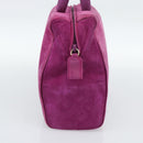 PRADA Hand Bag Suede Purple Gold Auth 185913-3